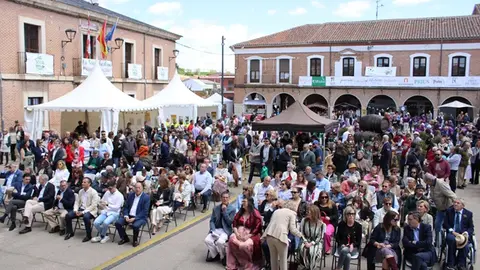 Fiesta del Verdejo y Festival Sarmiento Folk de La Seca (07/17) | Valladolid Plural