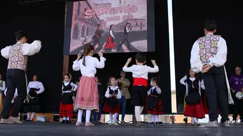 Fiesta del Verdejo y Festival Sarmiento Folk de La Seca (15/17) | Valladolid Plural