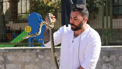 II Mercado Medieval y exhibición de reptiles en Fuensaldaña (03/15) | Valladolid Plural