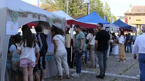 II Mercado Medieval y exhibición de reptiles en Fuensaldaña (08/15) | Valladolid Plural