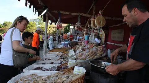 II Mercado Medieval y exhibición de reptiles en Fuensaldaña (11/15) | Valladolid Plural