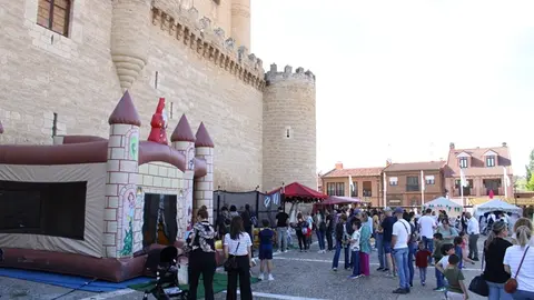 II Mercado Medieval y exhibición de reptiles en Fuensaldaña (14/15) | Valladolid Plural