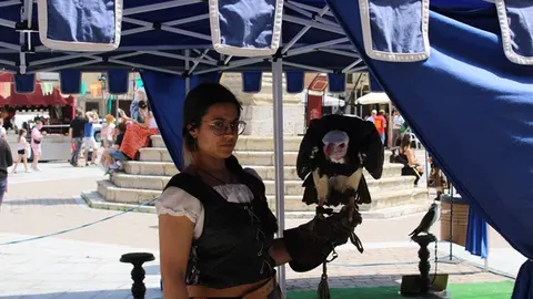 Mercado Comarcal y la Feria Agroalimentaria de Villalón de Campos (04/15) | Valladolid Plural