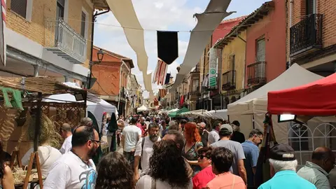 Mercado Comarcal y la Feria Agroalimentaria de Villalón de Campos (15/15) | Valladolid Plural