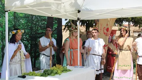 Fiesta Vaccea de Lugnasac de Cabezón de Pisuerga 2025 (06/15) | Valladolid Plural