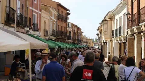 Inauguración del Mercado del Queso de Villalón 2025 (03/12) | Valladolid Plural