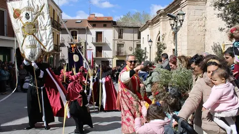 Procesión de La Borriquilla y pregón de la Semana Santa de Peñafiel 2026 | Valladolid Plural