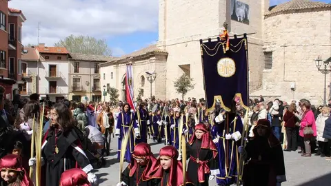 Procesión de La Borriquilla y pregón de la Semana Santa de Peñafiel 2026 | Valladolid Plural