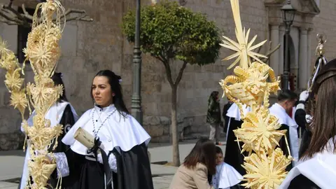 Procesión de La Borriquilla y pregón de la Semana Santa de Peñafiel 2026 | Valladolid Plural