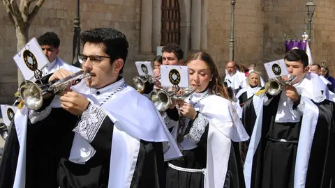 Procesión de La Borriquilla y pregón de la Semana Santa de Peñafiel 2026 | Valladolid Plural