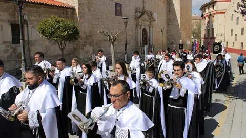 Procesión de La Borriquilla y pregón de la Semana Santa de Peñafiel 2026 | Valladolid Plural