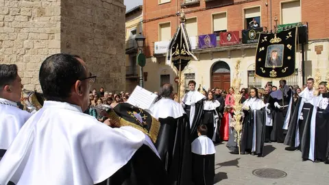 Procesión de La Borriquilla y pregón de la Semana Santa de Peñafiel 2026 | Valladolid Plural