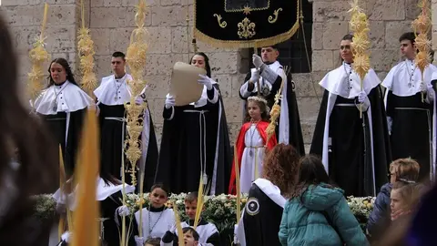 Procesión de La Borriquilla y pregón de la Semana Santa de Peñafiel 2026 | Valladolid Plural