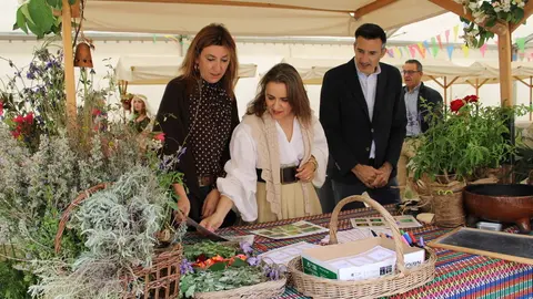 Celebración del Festival Medieval y visita al Castillo de Fuensaldaña 2026 | Valladolid Plural