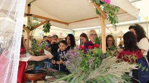 Celebración del Festival Medieval y visita al Castillo de Fuensaldaña 2026 | Valladolid Plural