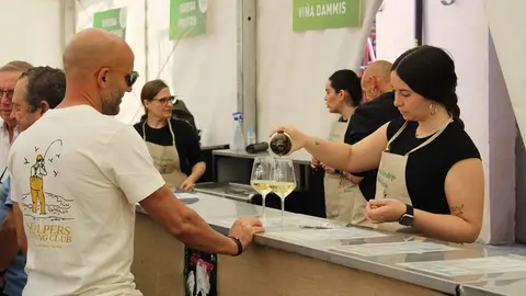 Fiesta del Verdejo y Feria del Vino de La Seca 2026 | Valladolid Plural