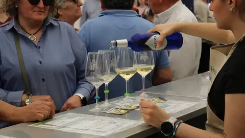 Fiesta del Verdejo y Feria del Vino de La Seca 2026 | Valladolid Plural