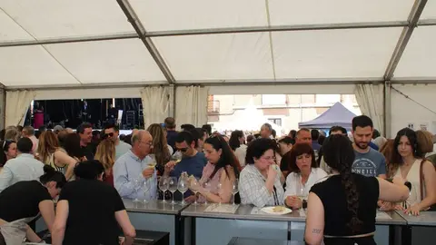 Fiesta del Verdejo y Feria del Vino de La Seca 2026 | Valladolid Plural