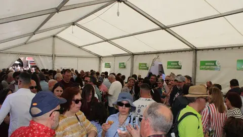 Fiesta del Verdejo y Feria del Vino de La Seca 2026 | Valladolid Plural