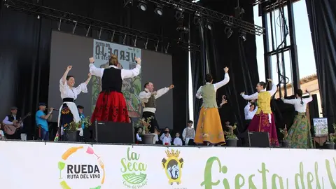 Fiesta del Verdejo y Feria del Vino de La Seca 2026 | Valladolid Plural