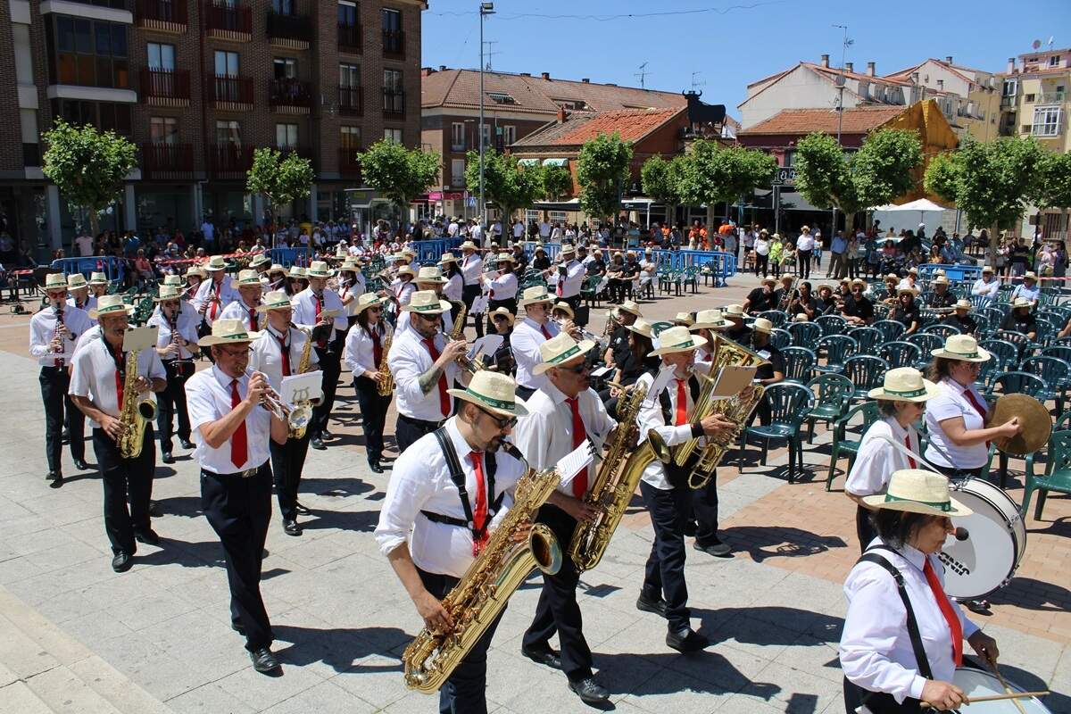 Concierto 25 aniversario Banda de Musica de La Cisterniga encuentro agrupaciones provincia (4)