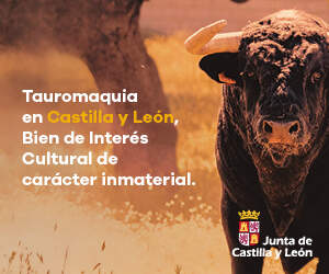 Publicidad 70981