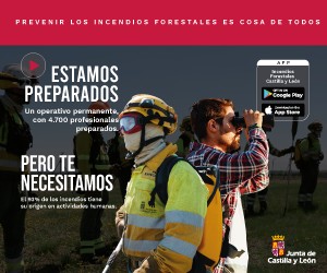 Publicidad 72024
