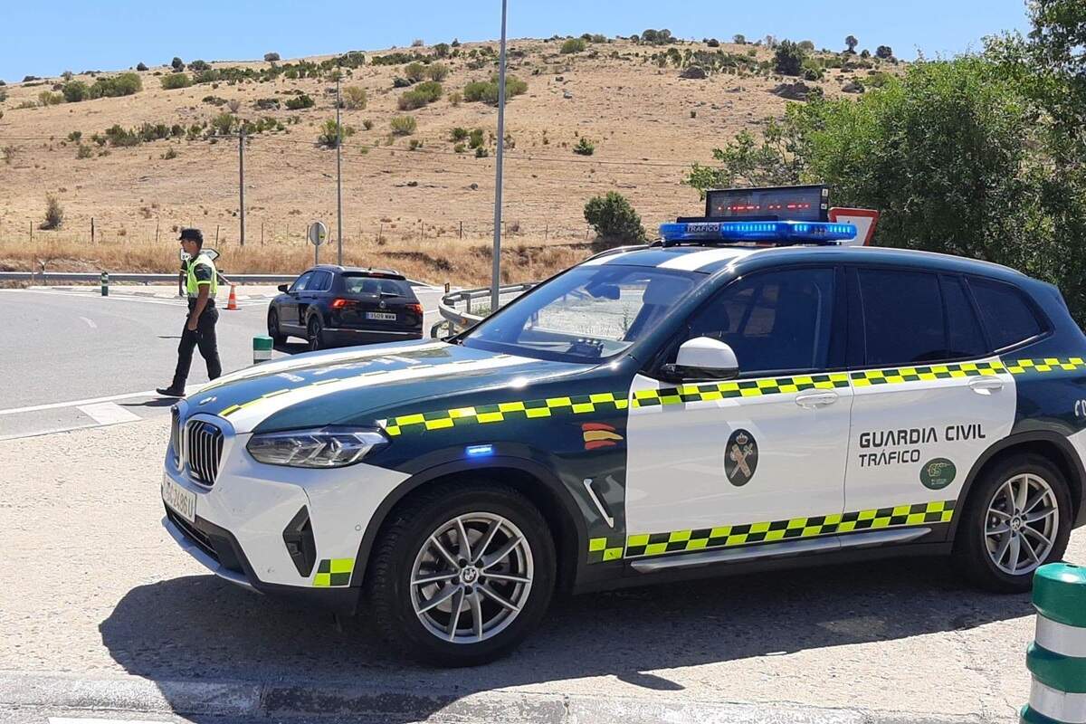 Un conductor sin puntos circula marcha atrás a gran velocidad por la N-122 para evitar un control en Tudela de Duero