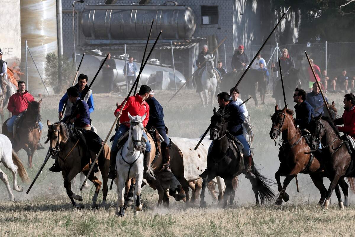 San Antolín hace grande a Medina del Campo con unas Fiestas intensas para vivir y compartir en comunidad: programa completo de actividades